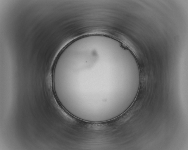 X0000111611092200907241005