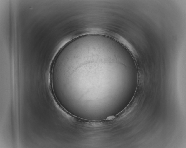 X0000111611095200907241005