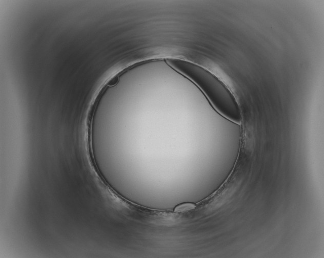 X0000111611096200907241005