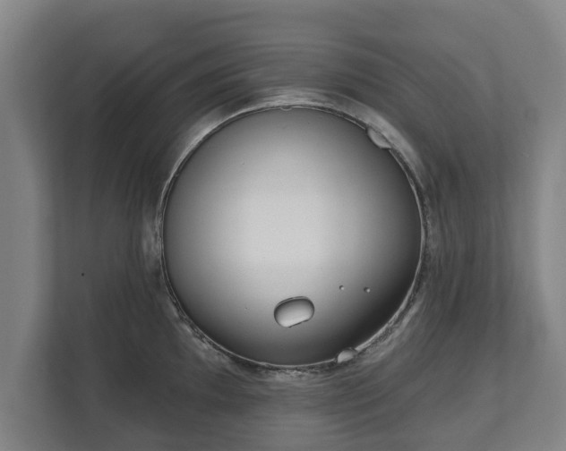 X0000111611097200907241004