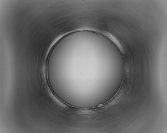 X0000111611100200907241004