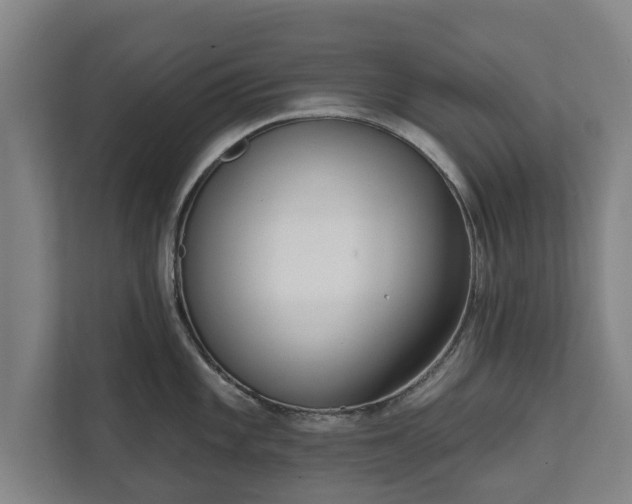 X0000111611101200907241004