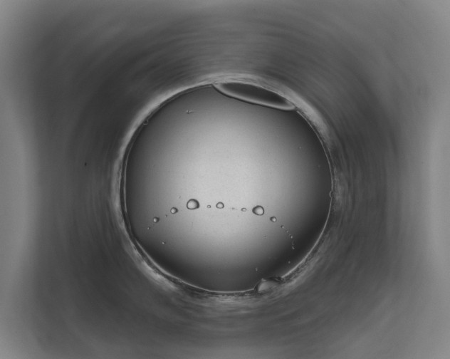 X0000111611102200907241004