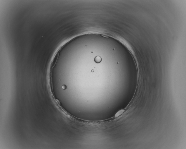 X0000111611104200907241004