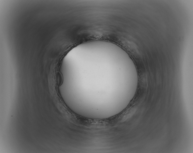 X0000111611105200907241004