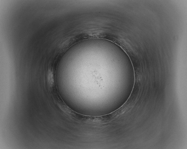 X0000111611106200907241004