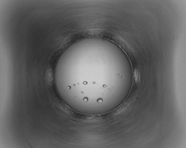 X0000111611107200907241004