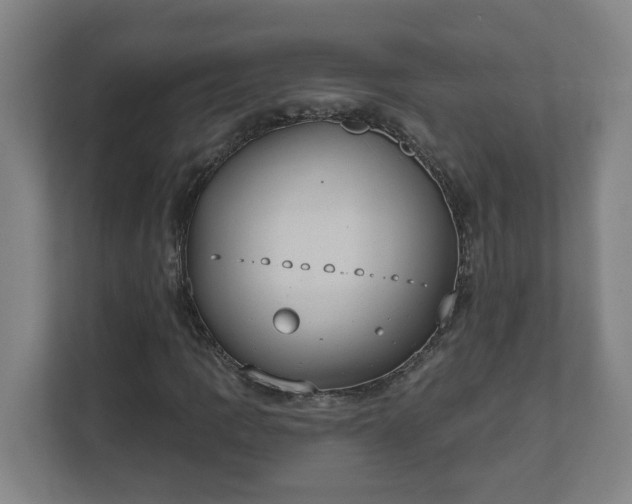 X0000111611109200907241004