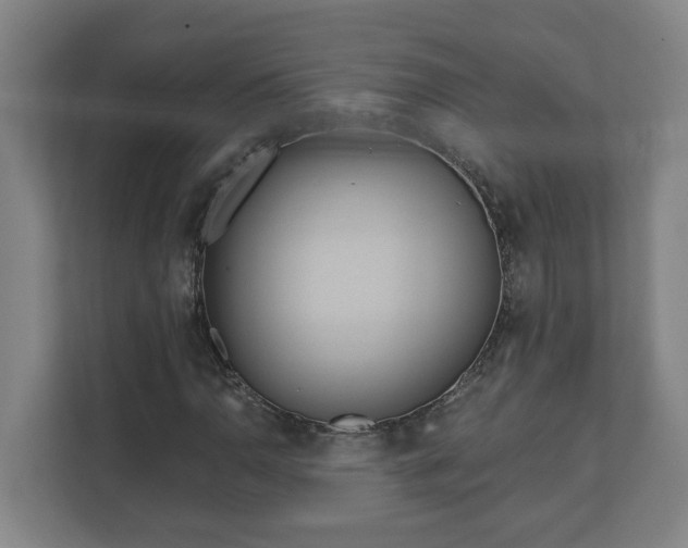 X0000111611110200907241004