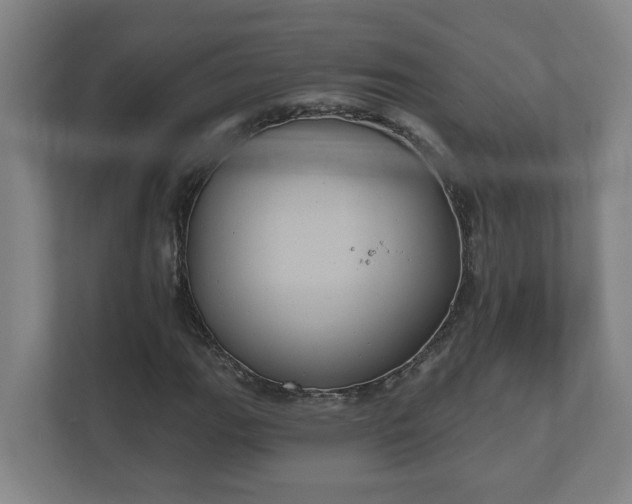 X0000111611111200907241004