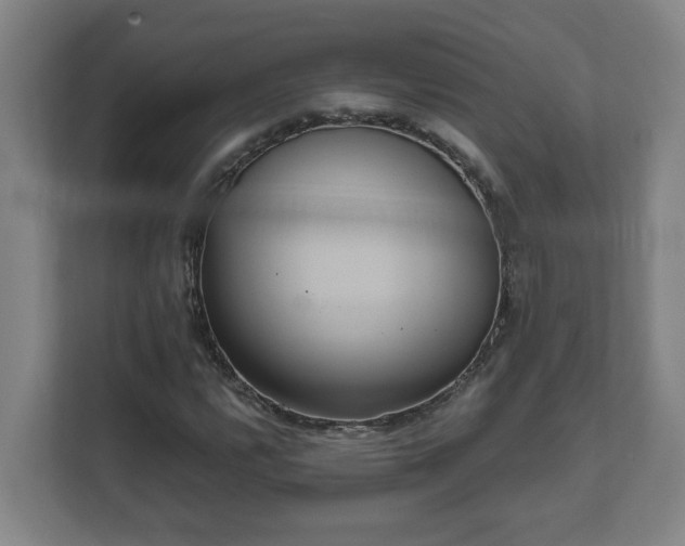 X0000111611112200907241004