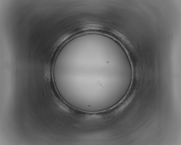X0000111611113200907241004