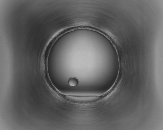 X0000111611118200907241004