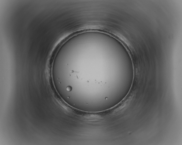 X0000111611119200907241004