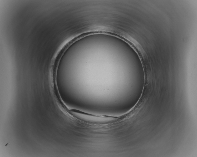 X0000111611120200907241004