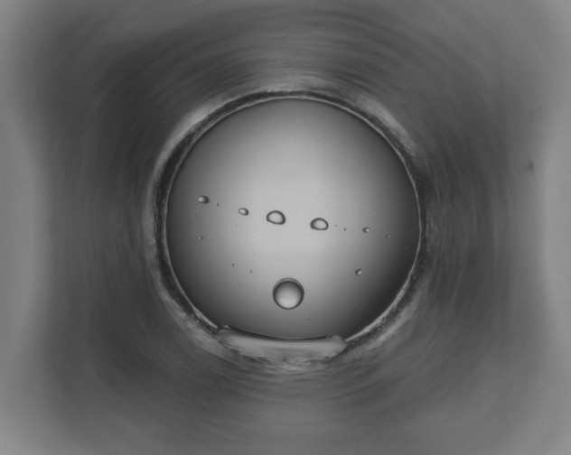 X0000111611122200907241004