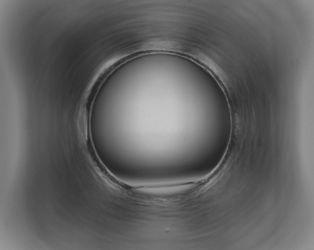 X0000111611123200907241004