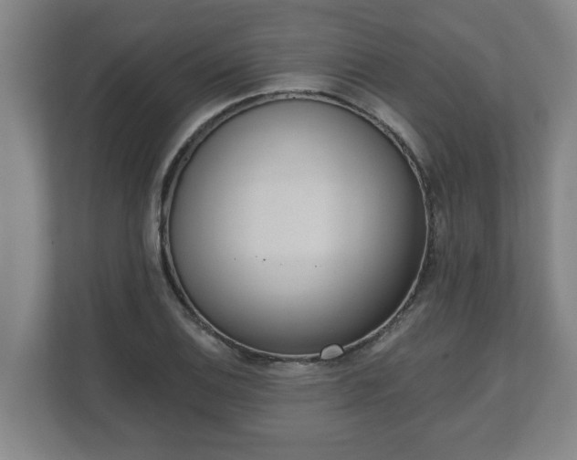 X0000111611124200907241004