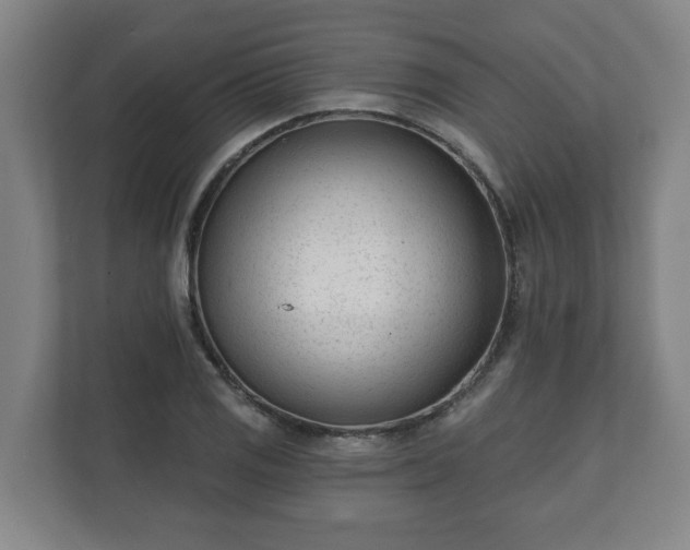 X0000111611125200907241004
