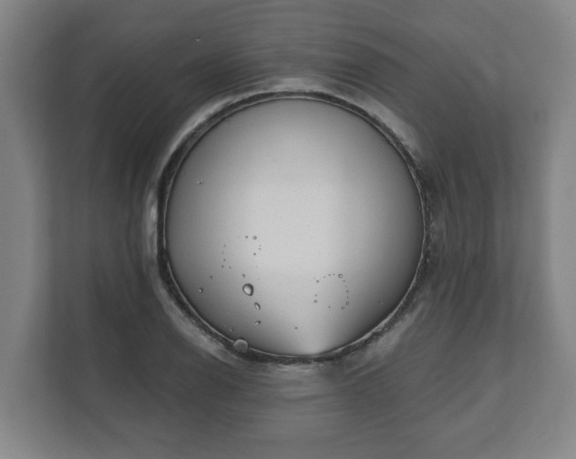 X0000111611126200907241004