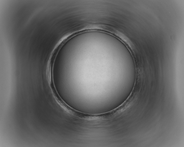 X0000111611127200907241004
