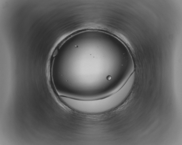 X0000111611128200907241004