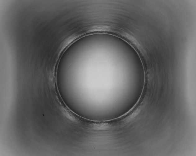 X0000111611129200907241004