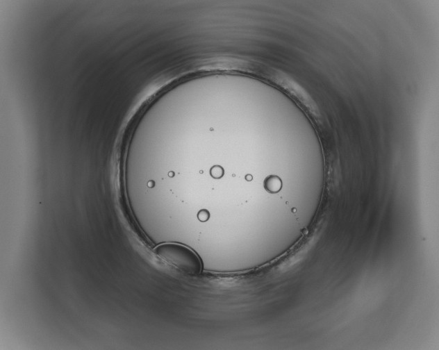 X0000111611130200907241004