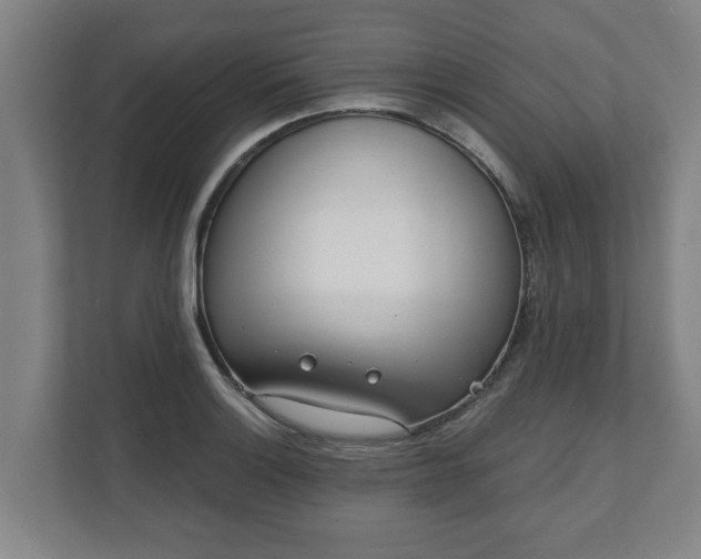 X0000111611132200907241004