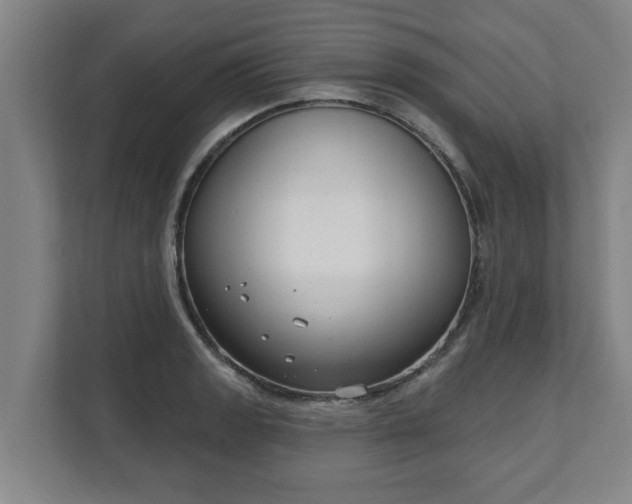 X0000111611133200907241004