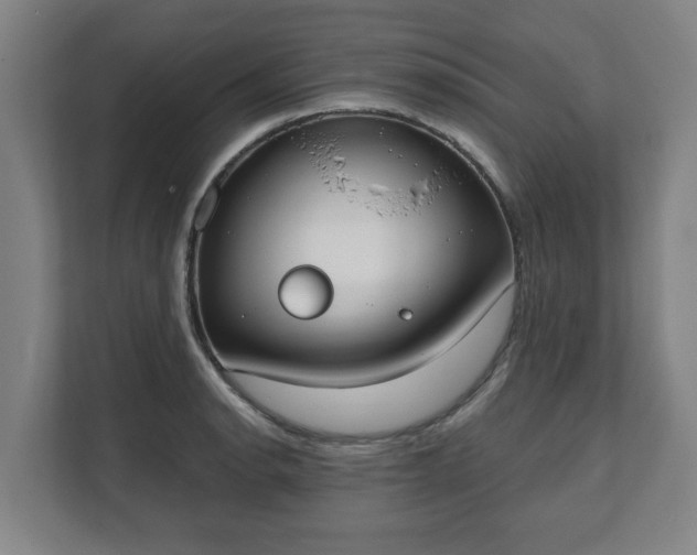 X0000111611134200907241004
