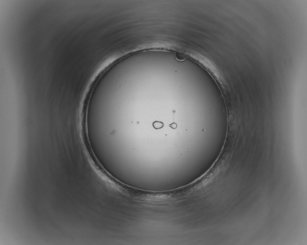 X0000111611135200907241004