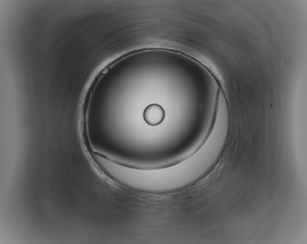 X0000111611136200907241004