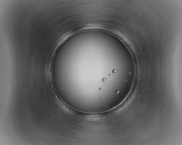 X0000111611137200907241004