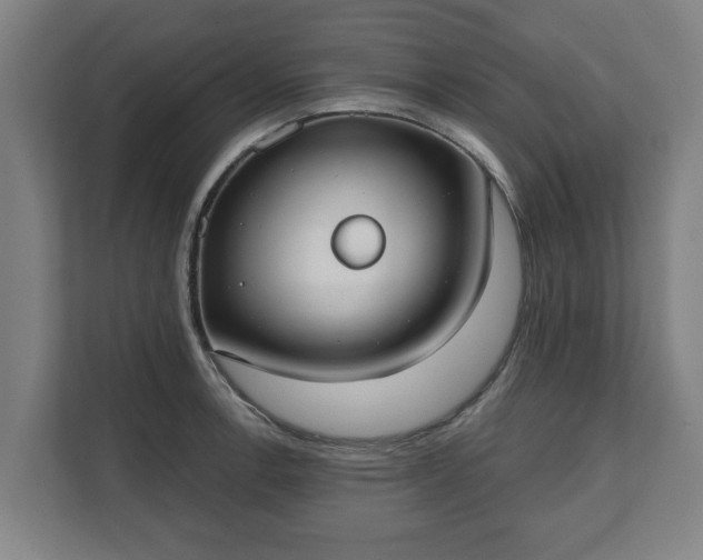 X0000111611138200907241004