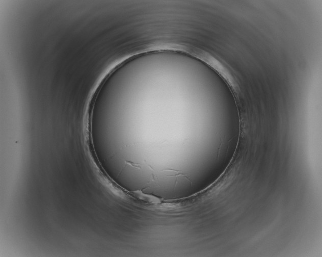 X0000111611140200907241004