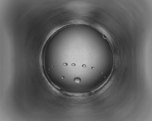 X0000111611141200907241004