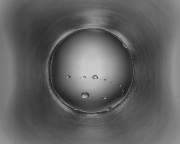 X0000111611142200907241004