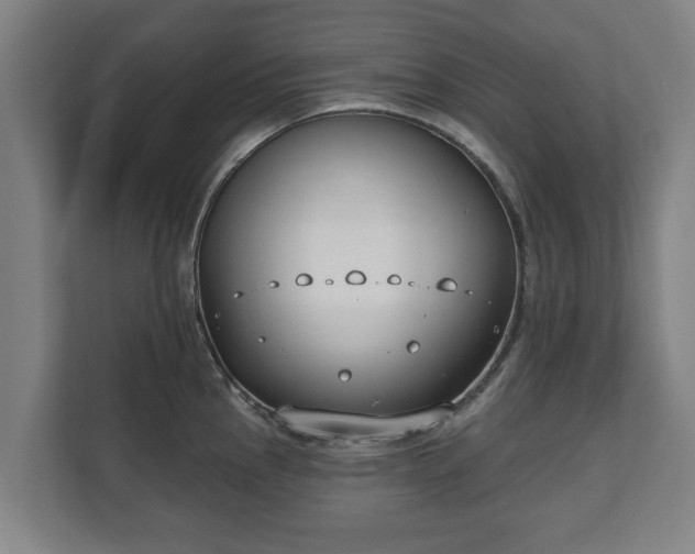 X0000111611145200907241004