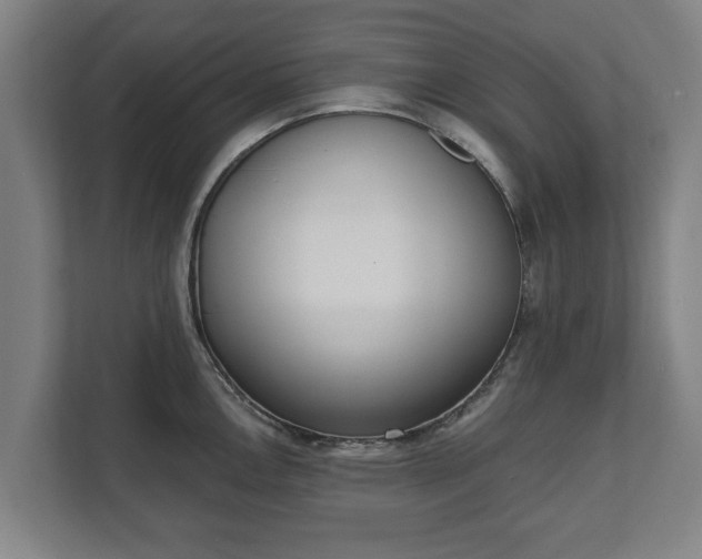 X0000111611146200907241004