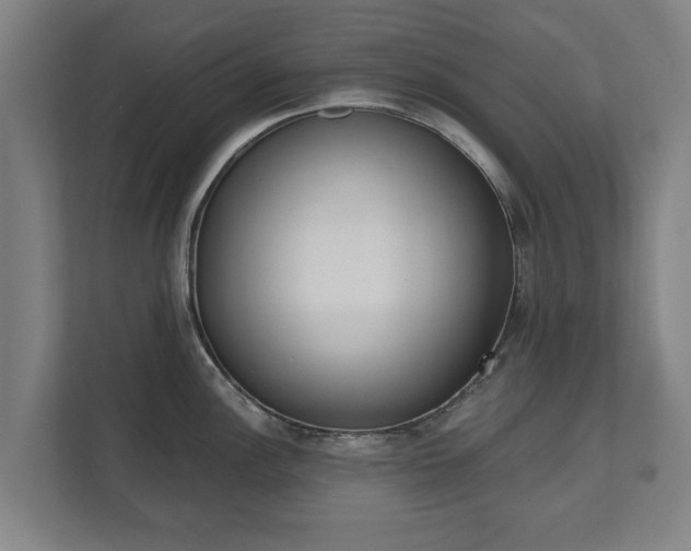 X0000111611148200907241004