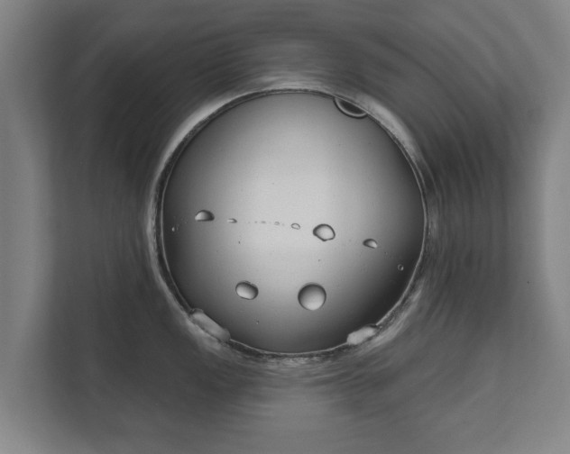 X0000111611149200907241004