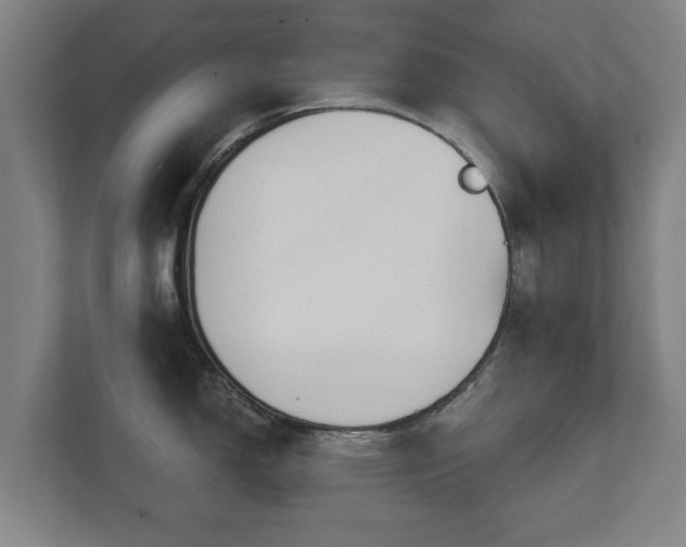 X0000111611150200907241004