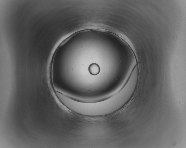 X0000111611152200907241004