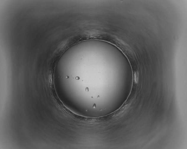 X0000111611155200907241004