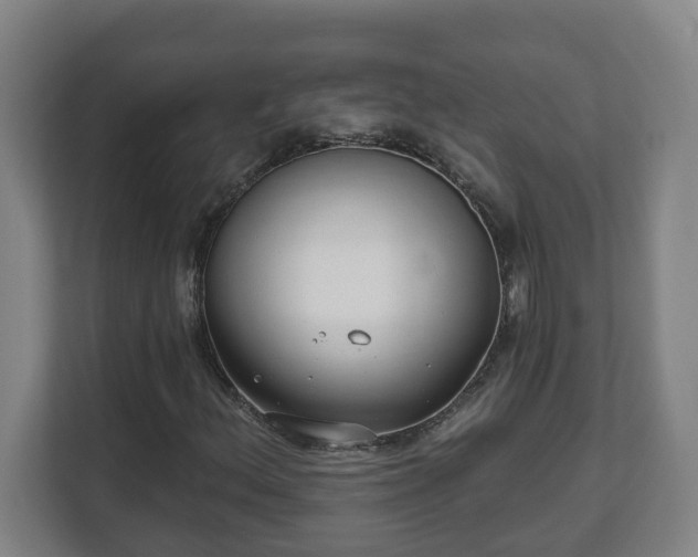 X0000111611156200907241004