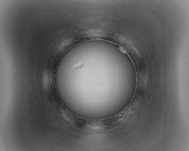 X0000111611157200907241004