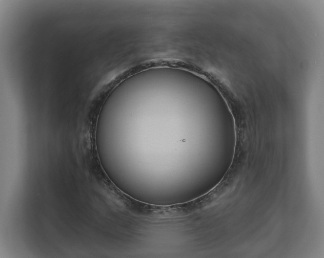 X0000111611159200907241004