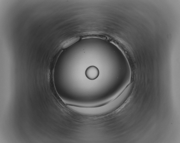 X0000111611161200907241004