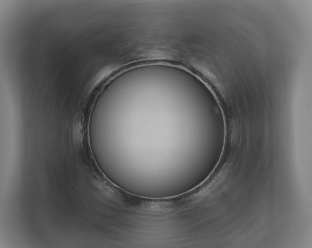 X0000111611163200907241004